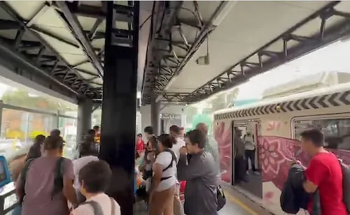 Tren Ligero suspende servicio temporalmente por falla en un convoy; personal del STE atiende la avería