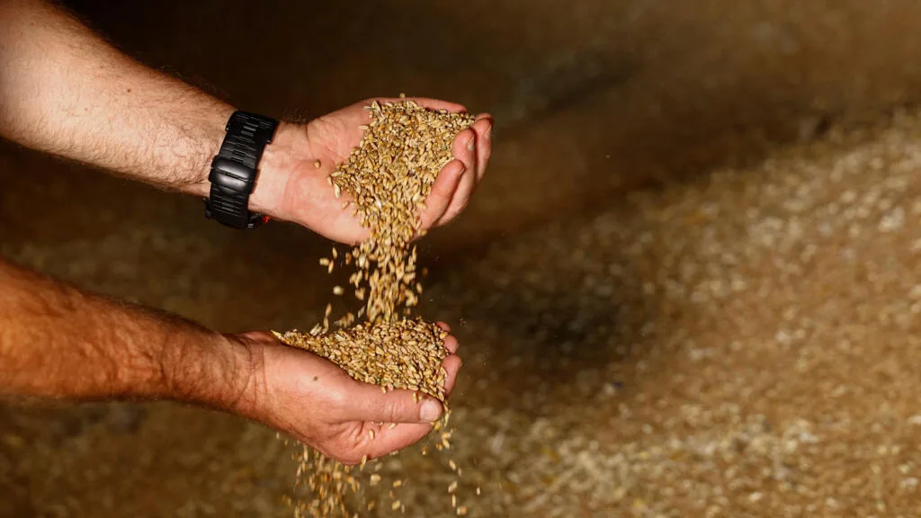 Céréales ukrainiennes: les attaques russes perturbent les exportations et inquiètent les marchés mondiaux