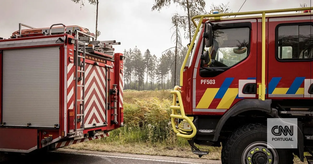 Bélgica contém maior incêndio da história do país mas bombeiros avisam que fogo "não está dominado"