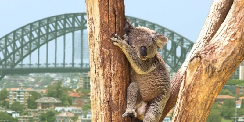 Australian hotel chain leaks guests’ PII after breach at third-party database operator