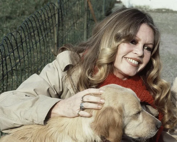 Brigitte Bardot auction in Paris fetches nearly €1m, with proceeds going to her animal welfare foundation and her son