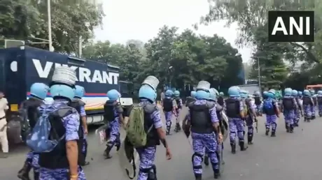 ‘Cockroaches’ are back in the streets: Here is why India faces a new wave of protests