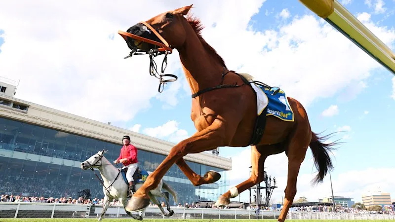 With a fall and a horse’s death, this day at Caulfield became racing’s worst nightmare