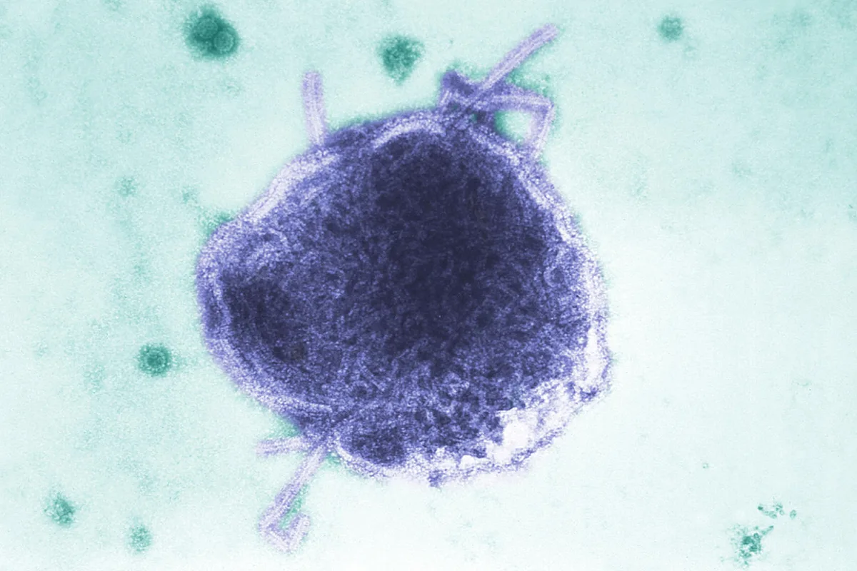 Infant in Pennsylvania is one of the two measles deaths reported this week