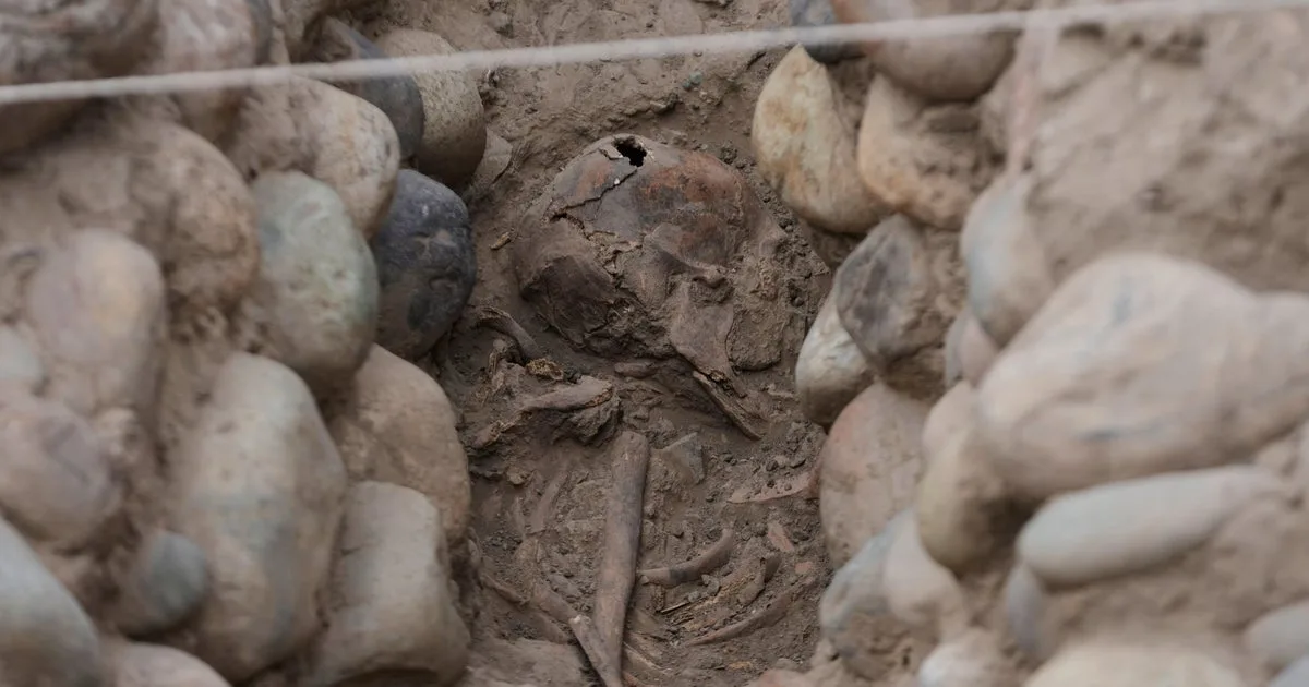 Skeletal remains believed to be ritual offering unearthed in Peru