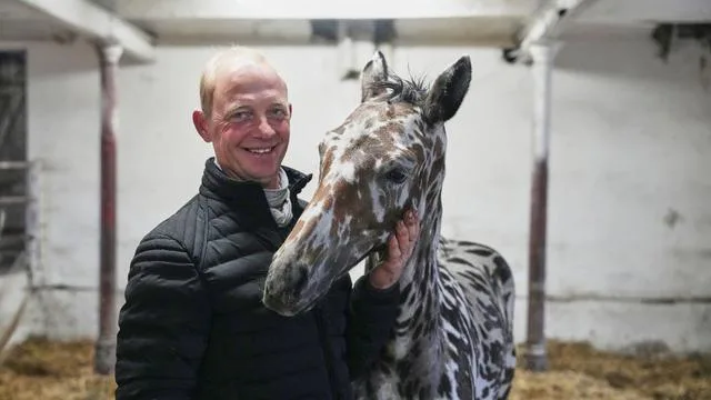 Zebra-Look: Hype um ein Fohlen - für 75.000 Euro nach Dubai