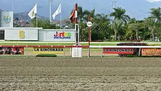 No busques más: Estos son los ejemplares con más fuerza y la jugada larga en la pista de La Rinconada