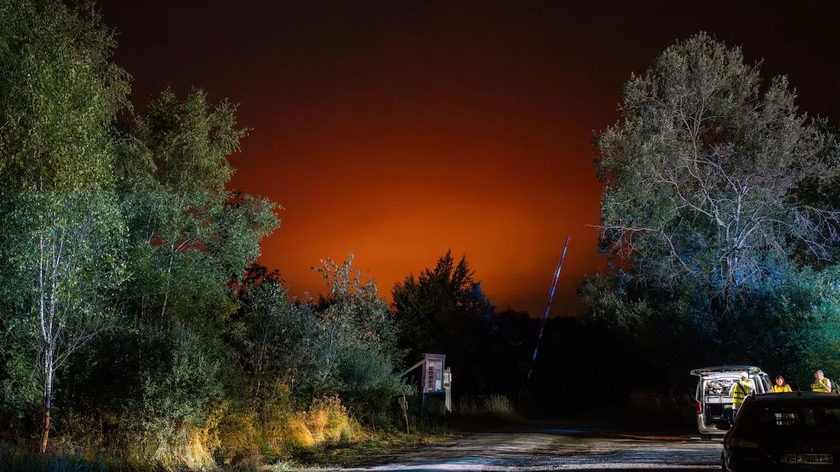 Waldbrände in Deutschland: Rauch kann Herz, Lunge und Gehirn schädigen