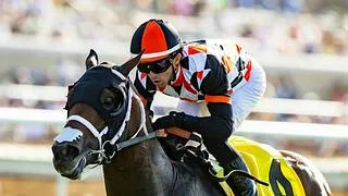 Del Mar Derby (G2) define la jerarquía de los tresañeros en California