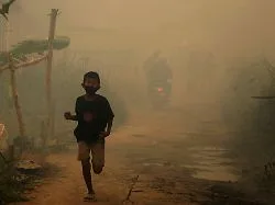 Giftige Rauchwolken: Brände in Indonesien: Südostasien ruft höchste Alarmstufe aus