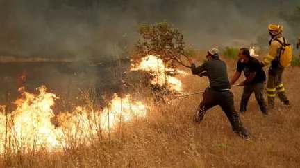 Éco-pâturage, drone thermique, minisatellite… Quels sont les pares-feux utilisés pour lutter contre les incendies chez nos voisins européens ?