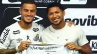Londrina x Ponte Preta: horário e onde assistir ao jogo da Série B