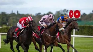 ¡Batacazo mundial! Un caballo 50 a 1 silencia Leopardstown en el Irish Champion Stakes