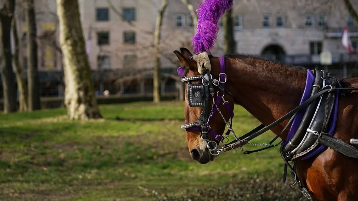 Adiós a una tradición centenaria: Nueva York prohibirá los carruajes de caballos en Central Park