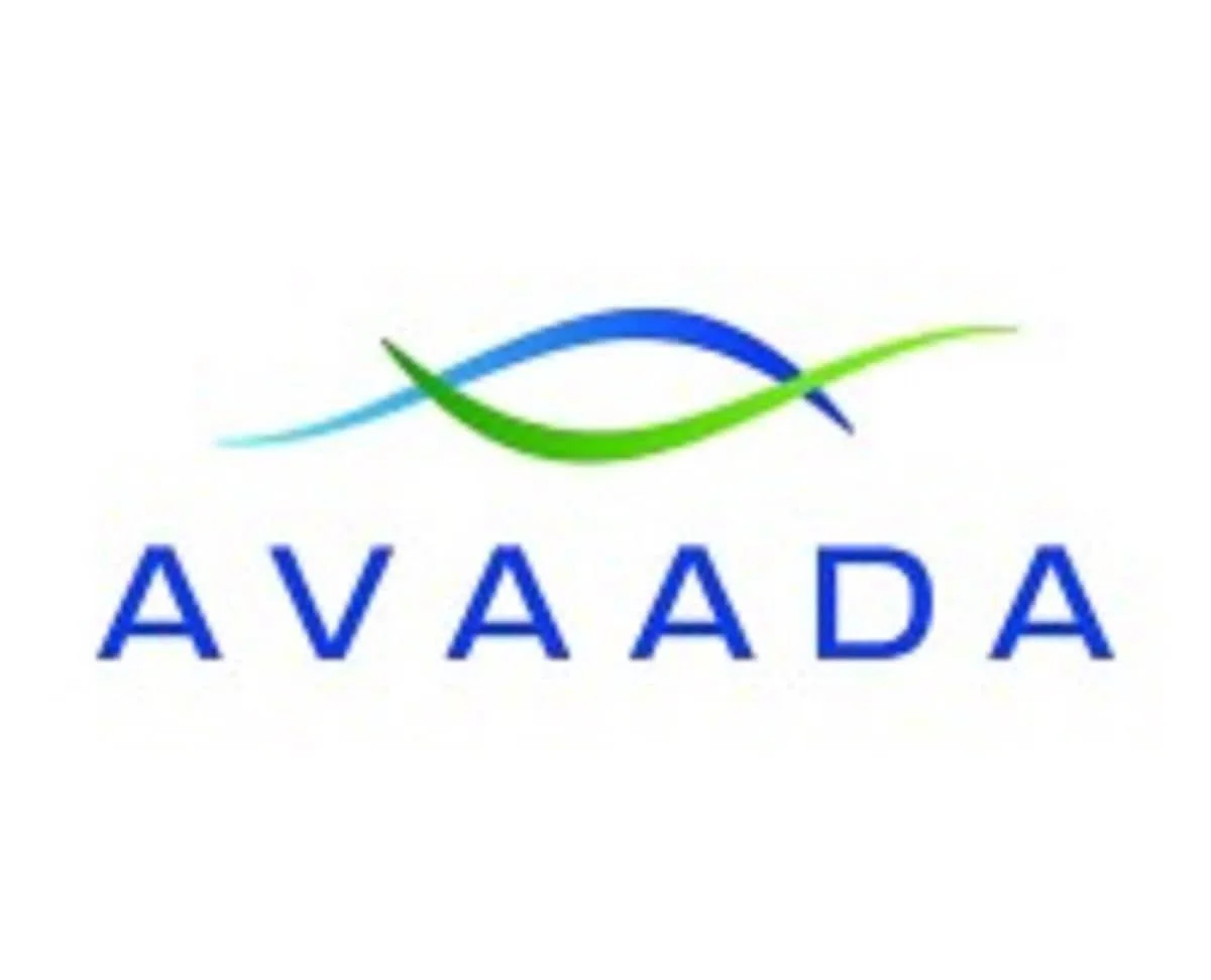 Solar panel maker Avaada Electro files updated DRHP for ₹7,600 crore IPO