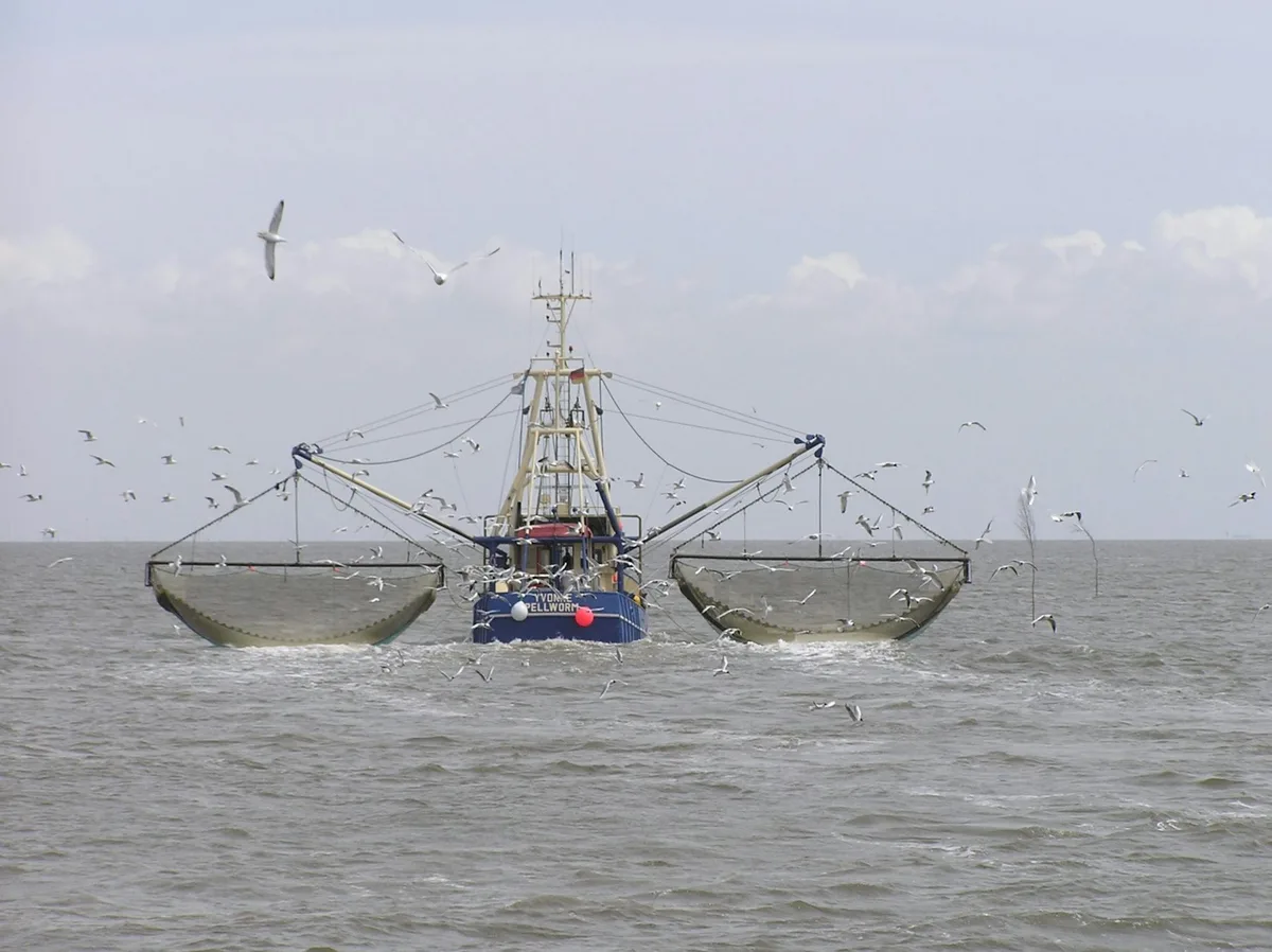 How lessons from fisheries management could help us govern Earth’s orbital space