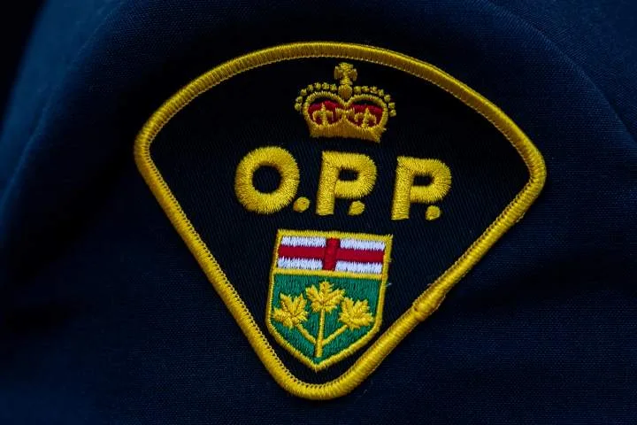 Beachgoers find body of missing Scarborough swimmer: OPP