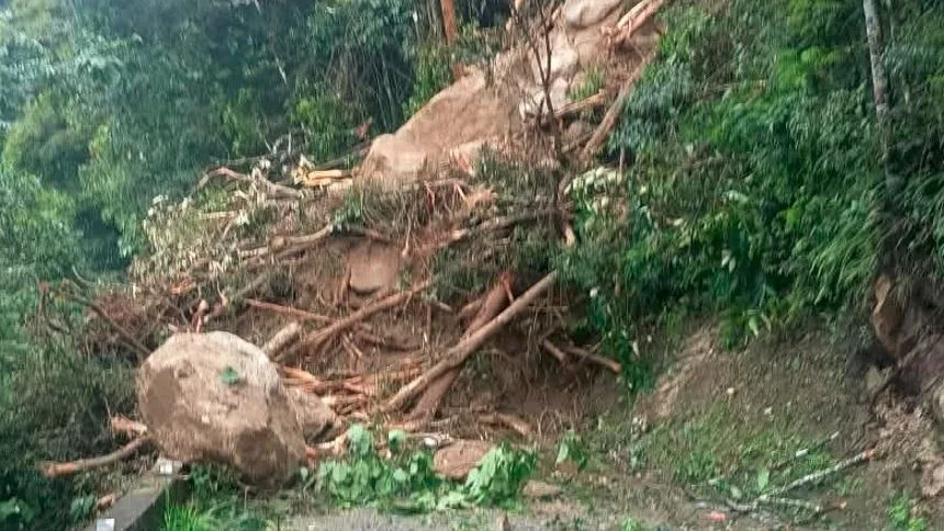 Rocas, árboles y toneladas de tierra bloquean la vía a Choroní: así intentan despejar la carretera (VIDEOS)