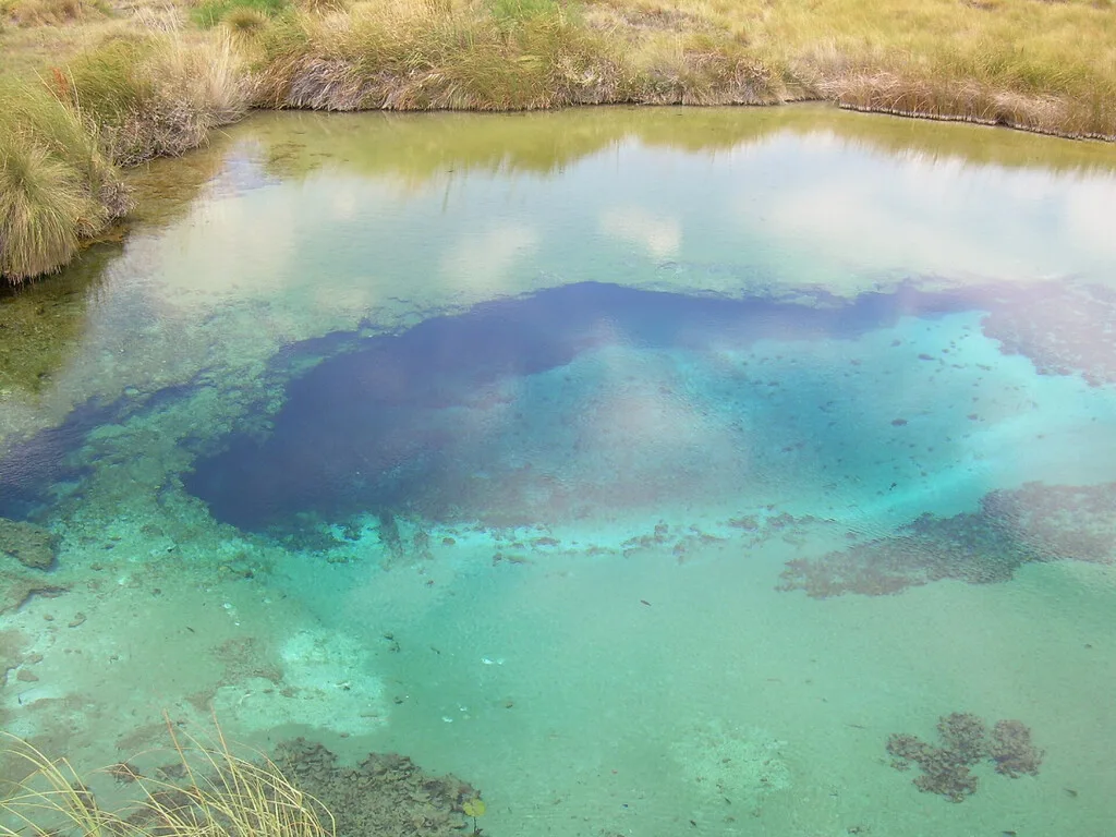 Adquirieron derechos de agua y predios en el desierto de Coahuila para frenar a los agrícolas: hoy protegen microorganismos únicos de millones de años de antigüedad