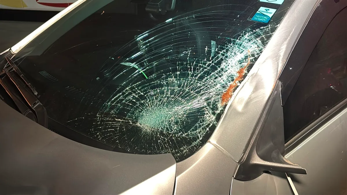Cavalo morre após ser atropelado por carro e ônibus em rodovia no interior de SP