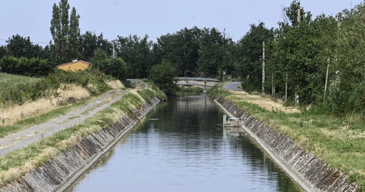 Loire. Irrigation, eau potable : comment le Canal du Forez a évité la catastrophe : « On a vu que ça allait être compliqué »
