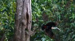 Brazil sees record fall in Amazon deforestation as key election looms