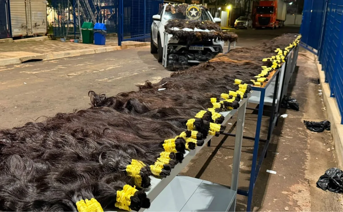 Nem a Rapunzel tinha tanto! Carga de R$1 milhão em cabelos humanos é apreendida no Paraná