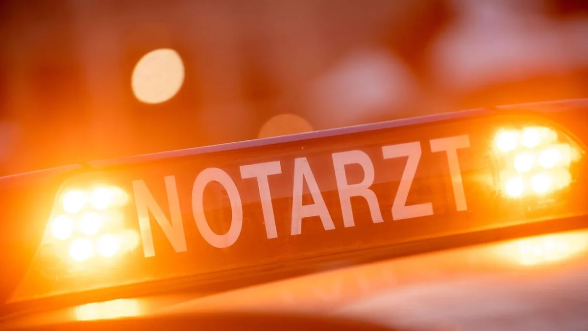 Unglück bei Forstarbeiten: Kind wird bei Forstarbeiten von Baum getroffen und stirbt