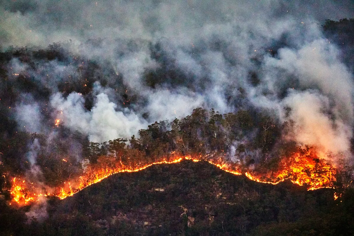 Australia urgently needs a national bushfire database. Here’s what it could look like