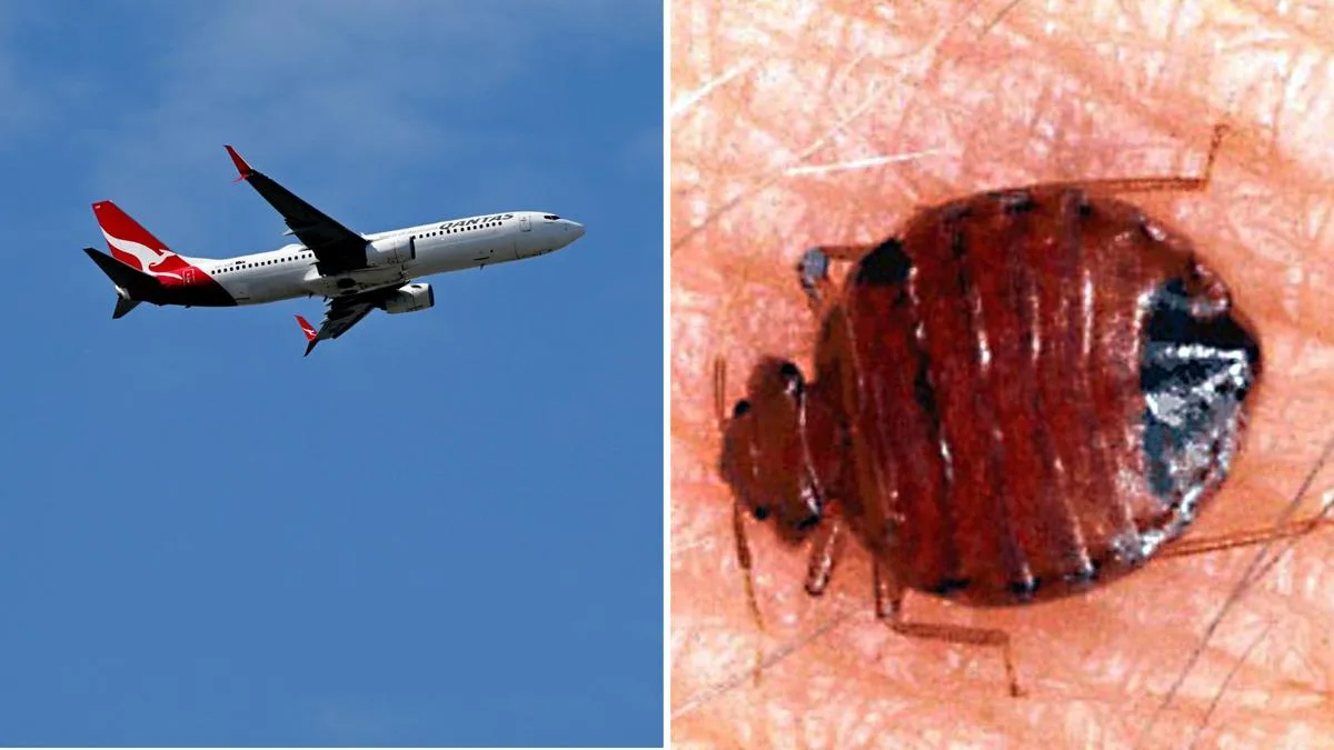 Qantas flight QF6 from Rome to Perth cancelled after reported bed bug outbreak onboard Boeing 787 Dreamliner