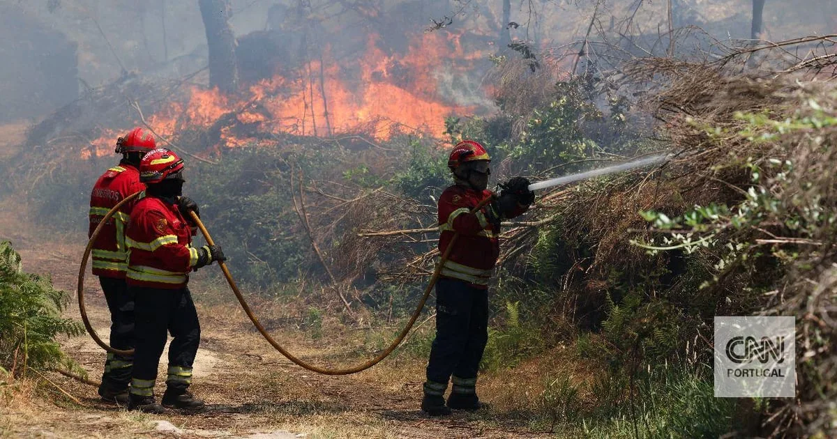 Cerca de 270 bombeiros feridos desde o início do ano