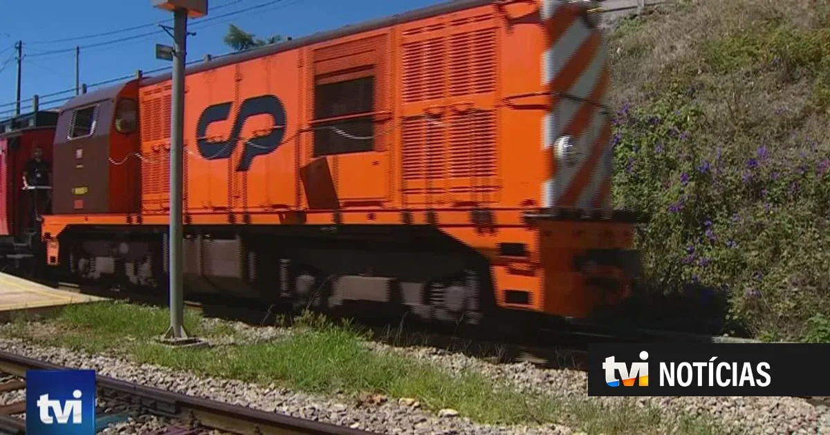 Comboio histórico do Vouga cumpre a última viagem deste verão