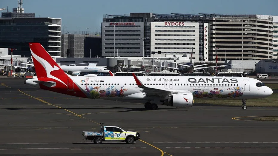 Bedbugs found in plane's economy seats force major airline to cancel flight
