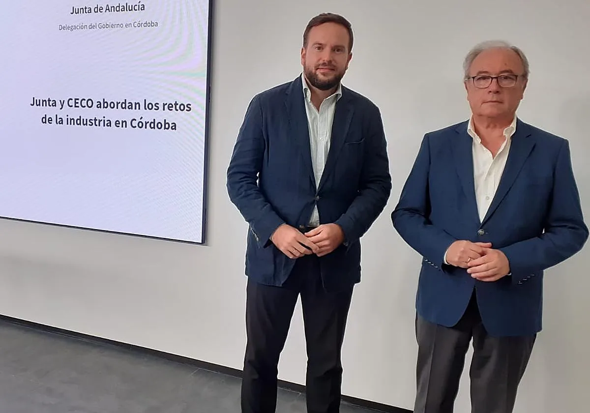 La Junta insiste en reclamar al Gobierno una planificación eléctrica que «garantice inversiones y empleo» en Córdoba