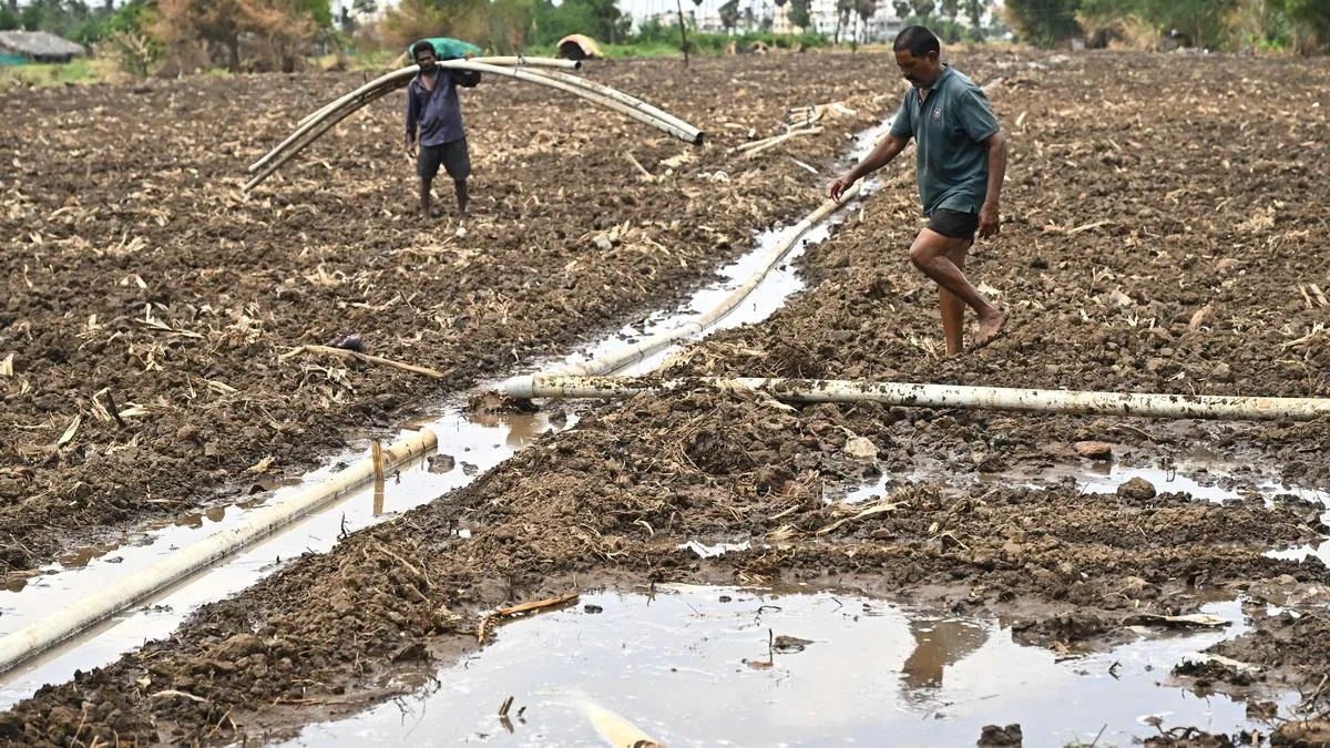 Andhra Pradesh farmers caught between climate uncertainty and financial risk