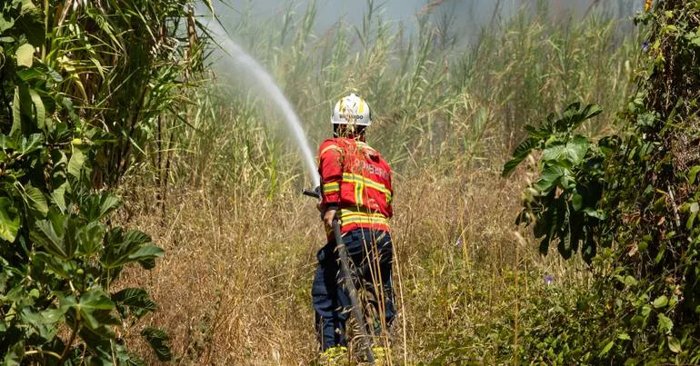 Onze concelhos em perigo máximo de incêndio