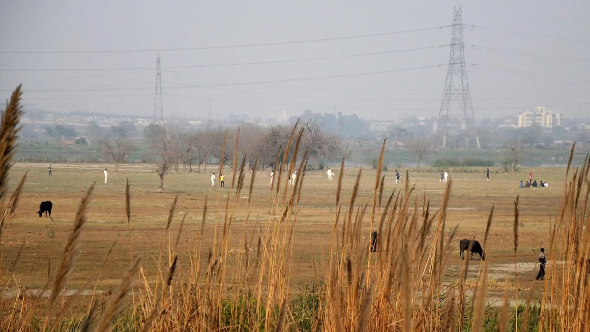 Yamuna floodplains: SC overturns order against Art of Living, orders refund of ₹5 crore fine