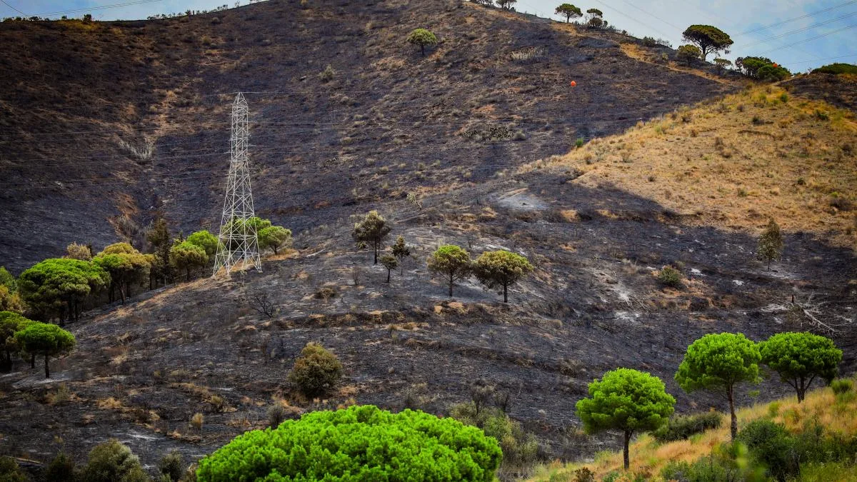La Guardia Urbana detiene a un sospechoso por el último incendio en Collserola