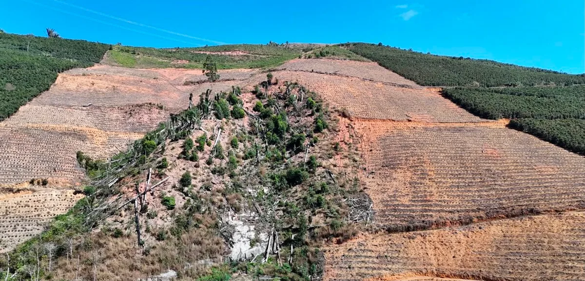 ES bloqueia 80 hectares de áreas desmatadas para atividades do agro