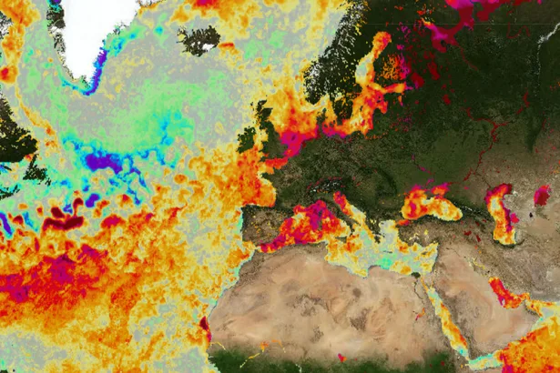 El Nino weather forecast with 'near-100% chance' after link to snow hitting UK