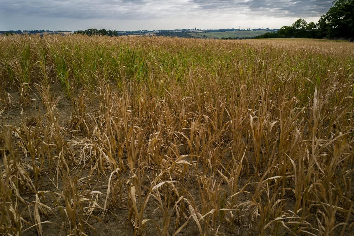 Comment l’agriculture peut‑elle s’adapter aux étés de plus en plus secs ?