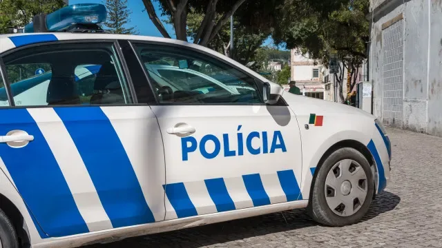 Mais de 380 infrações ambientais e rodoviárias detetadas pela PSP