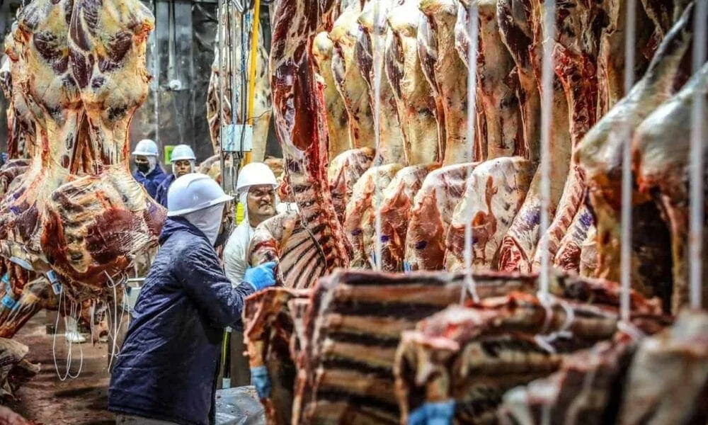 Em quê a decisão de Trump de importar mais carne impacta o Acre?