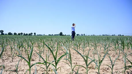 EU facing food crisis