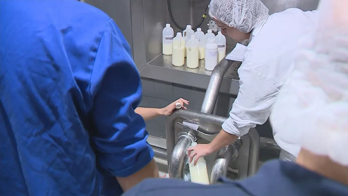 Leite Compensado: quem são os condenados por esquema de adulteração de leite com soda cáustica no RS