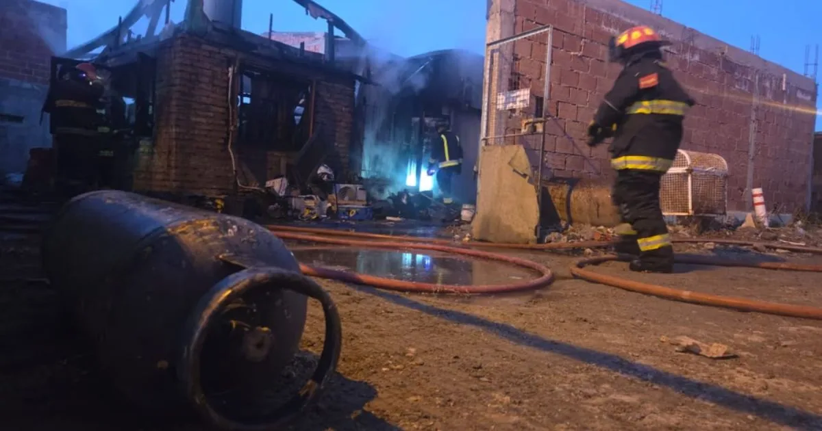 Conmoción en Comodoro Rivadavia: murió una mujer junto a sus mascotas en un incendio este lunes 17