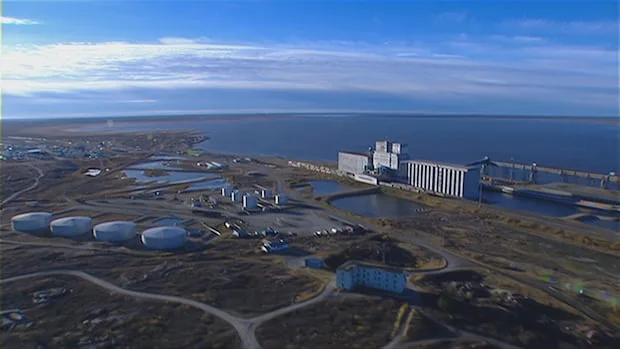 Churchill, Man., residents say year-round shipping would benefit town but tourism, environment must be considered