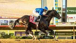 Knightsbridge podría no competir en la Breeders’ Cup Classic (G1)