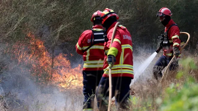 Quase 200 operacionais e cinco meios aéreos combatem fogo em Porto de Mós