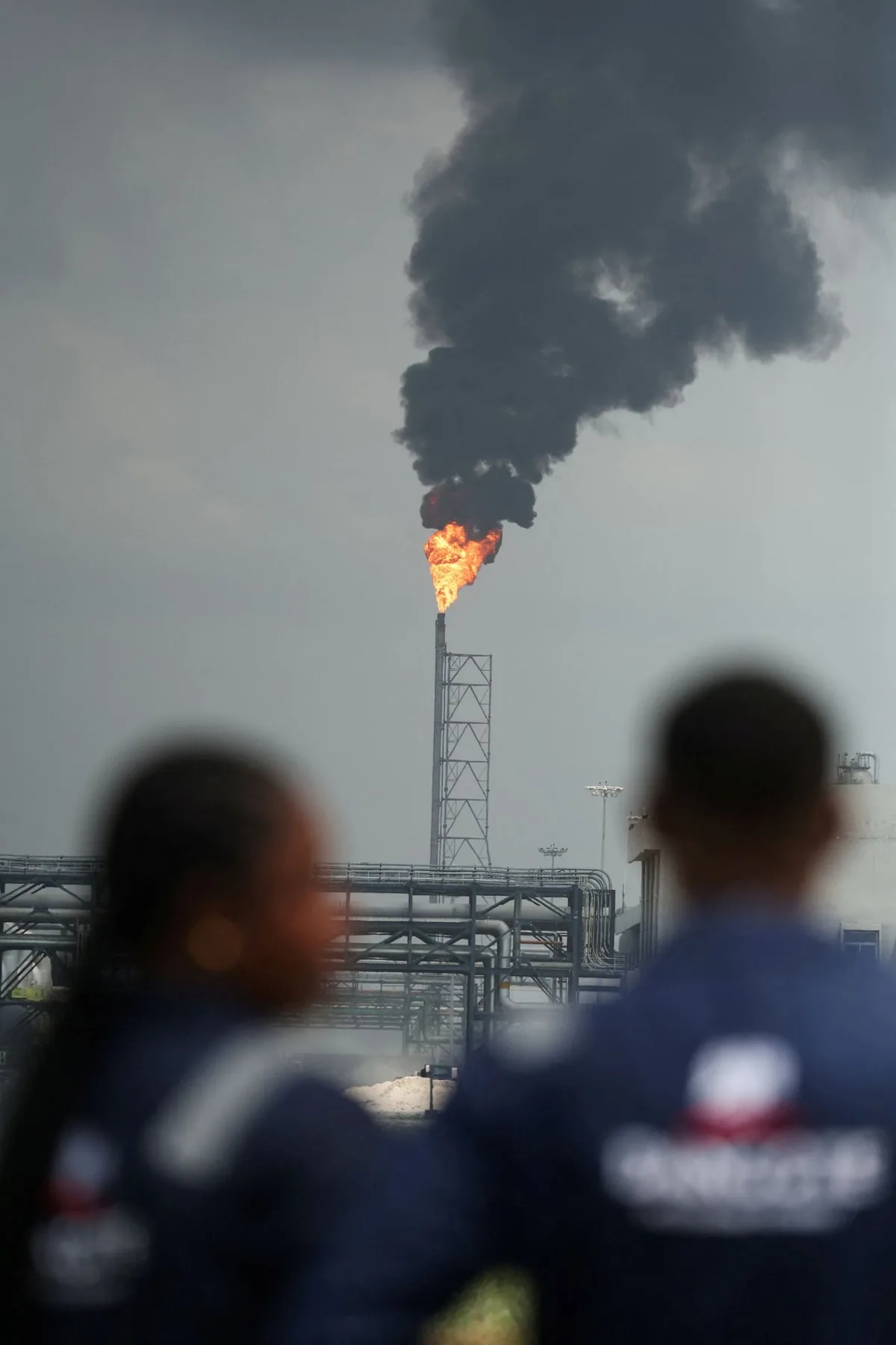 African IPO turns people into oil tycoons, and they have the memes to prove it